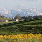 20140423_gtG_0073.jpg