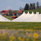 ROTH0005_Bildgröße ändern.jpg